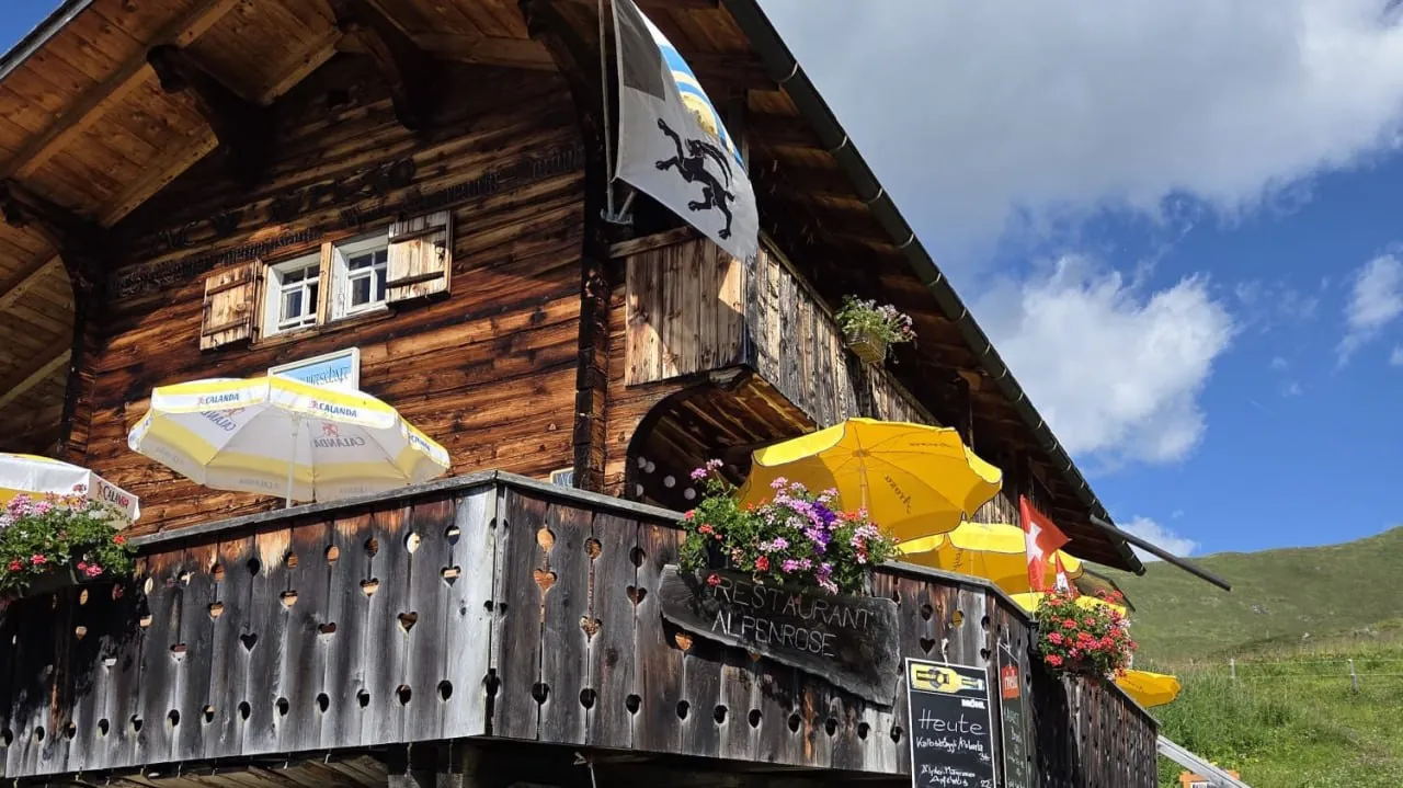 Alpenrose Medergen im Abendlicht mit Schweizer Alpen